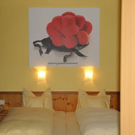 Deva Renchtalblick Otel 3*