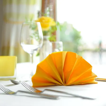Hotel Deva Renchtalblick 3*