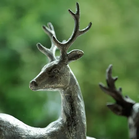 Otel Deva Renchtalblick 3*