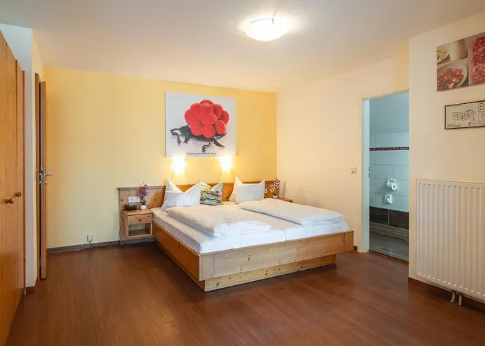 Deva Renchtalblick Hotel Oberkirch (Baden)