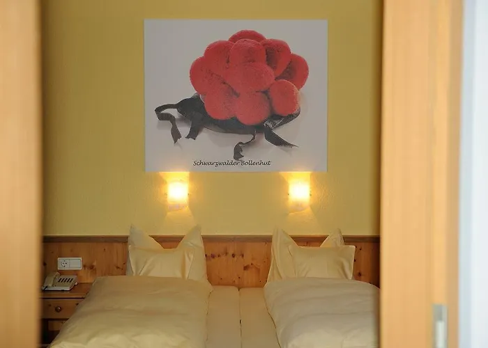 Deva Renchtalblick Hotel 3*