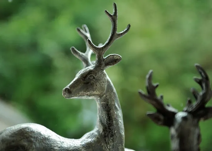 Hotel Deva Renchtalblick 3*